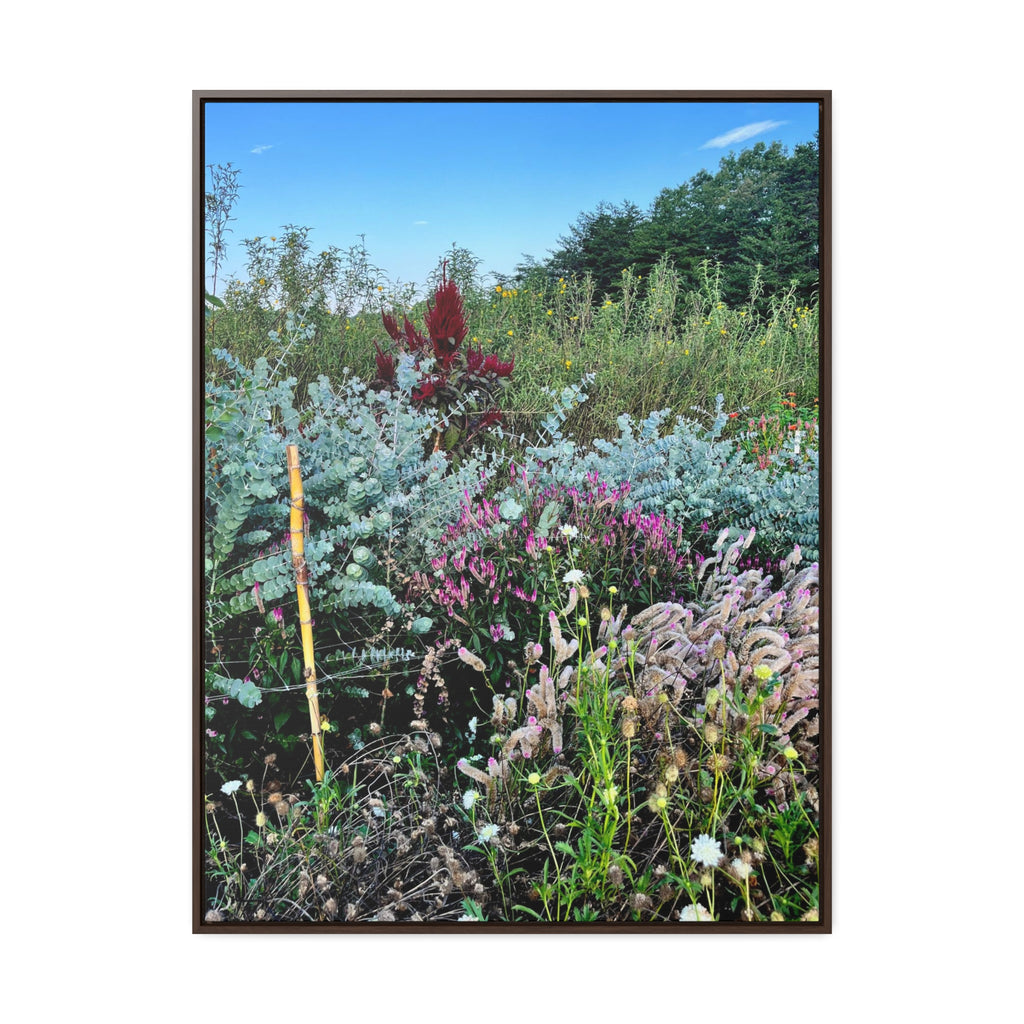 Field Flowers