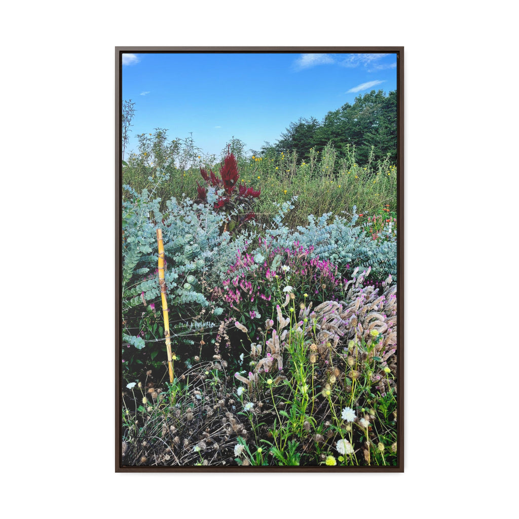 Field Flowers